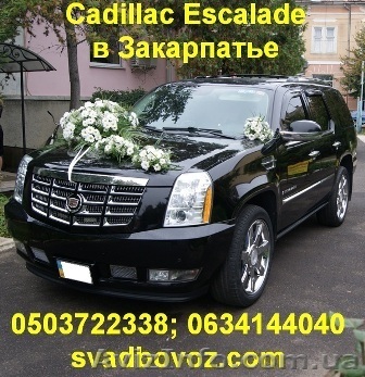 VIP перевозки по территории Закарпатской области - <ro>Изображение</ro><ru>Изображение</ru> #1, <ru>Объявление</ru> #837222