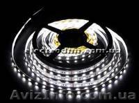 Светодиодная LED лента 5050 60шт/м - <ro>Изображение</ro><ru>Изображение</ru> #1, <ru>Объявление</ru> #920104