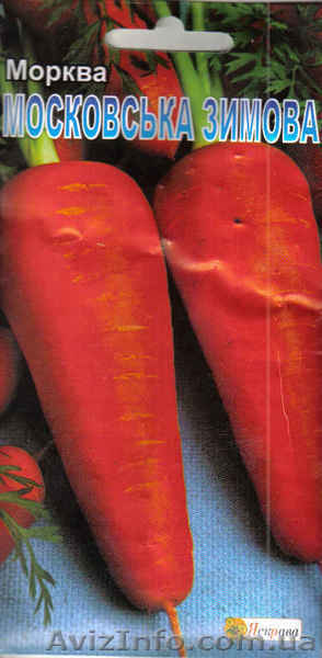 семена моркови Московская зимняя  - <ro>Изображение</ro><ru>Изображение</ru> #1, <ru>Объявление</ru> #951622