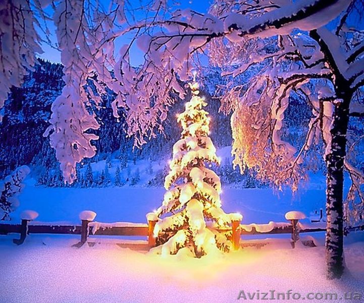 Старый Новый год + фестиваль «Червене вино - 2015» - <ro>Изображение</ro><ru>Изображение</ru> #1, <ru>Объявление</ru> #1188316