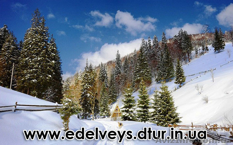 Туристический комплекс "Эдельвейс" - Зимний отдых в Карпатах 2016 - <ro>Изображение</ro><ru>Изображение</ru> #1, <ru>Объявление</ru> #1345908