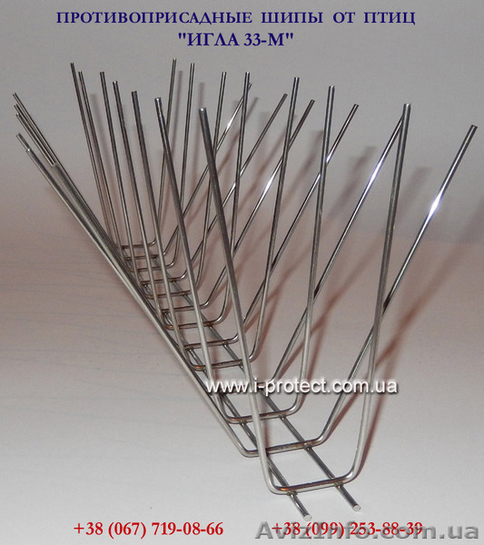 Ефективне відлякування птахів з підвіконь і балконів - <ro>Изображение</ro><ru>Изображение</ru> #1, <ru>Объявление</ru> #1497224