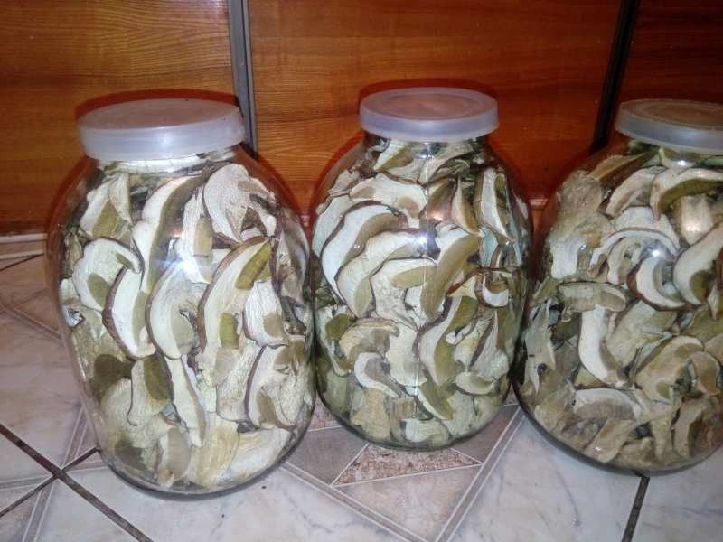 Білі гриби - <ro>Изображение</ro><ru>Изображение</ru> #1, <ru>Объявление</ru> #1672034