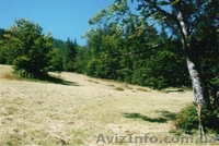 земля в карпатах біля озера - <ro>Изображение</ro><ru>Изображение</ru> #2, <ru>Объявление</ru> #104787