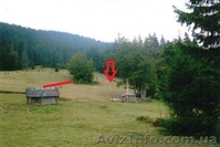 земля в карпатах біля озера - <ro>Изображение</ro><ru>Изображение</ru> #3, <ru>Объявление</ru> #104787