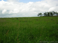 Участок в живописном месте - <ro>Изображение</ro><ru>Изображение</ru> #4, <ru>Объявление</ru> #199773