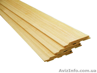 Лиственница сибирская Ужгород Украина - <ro>Изображение</ro><ru>Изображение</ru> #1, <ru>Объявление</ru> #153198