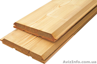 Лиственница сибирская Ужгород Украина - <ro>Изображение</ro><ru>Изображение</ru> #5, <ru>Объявление</ru> #153198