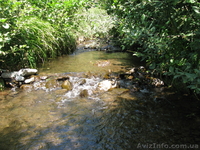 земля с домом на большом участке земли-0.55га - <ro>Изображение</ro><ru>Изображение</ru> #5, <ru>Объявление</ru> #801045