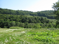 земля с домом на большом участке земли-0.55га - <ro>Изображение</ro><ru>Изображение</ru> #7, <ru>Объявление</ru> #801045