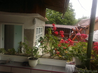 Відпочинок в Берегові "термальні води" - <ro>Изображение</ro><ru>Изображение</ru> #3, <ru>Объявление</ru> #820342