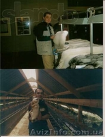 Cтажировка за рубежом СПІЛКА АГРАРНОЇ МОЛОДІ - <ro>Изображение</ro><ru>Изображение</ru> #3, <ru>Объявление</ru> #1030493