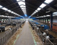 Cтажировка за рубежом СПІЛКА АГРАРНОЇ МОЛОДІ - <ro>Изображение</ro><ru>Изображение</ru> #2, <ru>Объявление</ru> #1030493