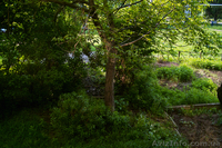 Продам трёхкомнатную квартиру в Ужгороде. - <ro>Изображение</ro><ru>Изображение</ru> #8, <ru>Объявление</ru> #247751