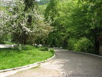 ТОК "Лумшоры" приглашает на отдых - <ro>Изображение</ro><ru>Изображение</ru> #5, <ru>Объявление</ru> #1071305