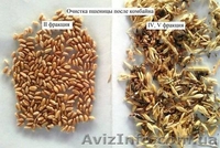 Продам сепаратор для чистки и калібровки зерна IСМ-5 - <ro>Изображение</ro><ru>Изображение</ru> #8, <ru>Объявление</ru> #1231029