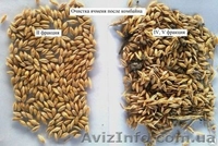 Продам сепаратор для чистки и калібровки зерна IСМ-5 - <ro>Изображение</ro><ru>Изображение</ru> #7, <ru>Объявление</ru> #1231029