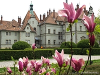 Экскурсия по замкам Закарпатья - <ro>Изображение</ro><ru>Изображение</ru> #7, <ru>Объявление</ru> #1274828