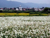 Экскурсия «Изюминки Хустщины – термальные источники, олени и сыр» - <ro>Изображение</ro><ru>Изображение</ru> #3, <ru>Объявление</ru> #1274822