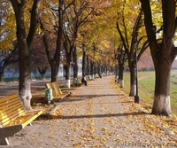 Пешеходная экскурсия «Ужгород – древний град» - <ro>Изображение</ro><ru>Изображение</ru> #3, <ru>Объявление</ru> #1274839