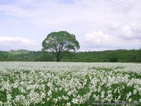 Экскурсия «Изюминки Хустщины – термальные источники, олени и сыр» - <ro>Изображение</ro><ru>Изображение</ru> #2, <ru>Объявление</ru> #1274822