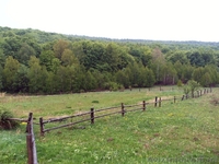 27 соток в с. Грабово Мукачевского р-на Закарпатье - <ro>Изображение</ro><ru>Изображение</ru> #1, <ru>Объявление</ru> #1207082