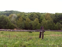 27 соток в с. Грабово Мукачевского р-на Закарпатье - <ro>Изображение</ro><ru>Изображение</ru> #3, <ru>Объявление</ru> #1207082