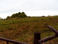 27 соток в с. Грабово Мукачевского р-на Закарпатье - <ro>Изображение</ro><ru>Изображение</ru> #5, <ru>Объявление</ru> #1207082