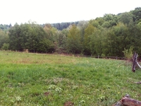 27 соток в с. Грабово Мукачевского р-на Закарпатье - <ro>Изображение</ro><ru>Изображение</ru> #6, <ru>Объявление</ru> #1207082