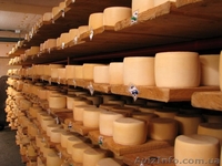 Экскурсия «Изюминки Хустщины – термальные источники, олени и сыр» - <ro>Изображение</ro><ru>Изображение</ru> #5, <ru>Объявление</ru> #1274822