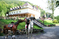 Экскурсия в Воеводино "Парк Шенборна, кони и форель"  - <ro>Изображение</ro><ru>Изображение</ru> #4, <ru>Объявление</ru> #1274832