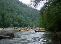 Отдых и работа в Закарпатье. Релаксационный и деловой туризм. - <ro>Изображение</ro><ru>Изображение</ru> #8, <ru>Объявление</ru> #1372414