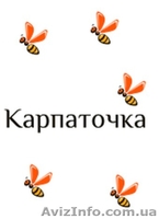 Реализуем Пчеломатки Карпатской породы Вучковского типа 2016 - <ro>Изображение</ro><ru>Изображение</ru> #2, <ru>Объявление</ru> #1447548