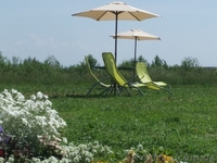 Садиба з власним басейном і новим ремонтом. - <ro>Изображение</ro><ru>Изображение</ru> #5, <ru>Объявление</ru> #1570701