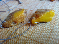 Кулоны из натурального необработанного янтаря. - <ro>Изображение</ro><ru>Изображение</ru> #7, <ru>Объявление</ru> #838953