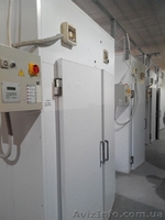 Линия для производства макарон La Monferrina 300 кг/час б/у  - <ro>Изображение</ro><ru>Изображение</ru> #6, <ru>Объявление</ru> #1636056