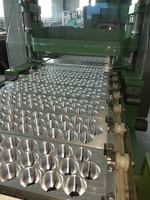 Машина для удаления косточек из вишни, сливы, абрикоса 1000 – 2000 кг/час - <ro>Изображение</ro><ru>Изображение</ru> #5, <ru>Объявление</ru> #1648767