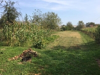 Продається дім 95м у селі Буштино Закарпатська область - <ro>Изображение</ro><ru>Изображение</ru> #2, <ru>Объявление</ru> #1674538