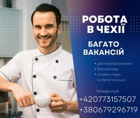 Робота в Чехії: щоденно нові вакансії для українців - <ro>Изображение</ro><ru>Изображение</ru> #5, <ru>Объявление</ru> #1737264