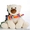 Продам оптом мягкую игрушку - полярный мишка #108512