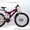 Продам  подростковый  велосипед Ужгород - <ro>Изображение</ro><ru>Изображение</ru> #3, <ru>Объявление</ru> #208624