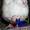 Инкубационные яйца перепелов разных пород. - <ro>Изображение</ro><ru>Изображение</ru> #1, <ru>Объявление</ru> #968565