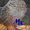 Инкубационные яйца перепелов разных пород. - <ro>Изображение</ro><ru>Изображение</ru> #2, <ru>Объявление</ru> #968565