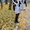  Школьная форма   платье , заказать Ужгород, Херсон, Луцк, Харьков - <ro>Изображение</ro><ru>Изображение</ru> #5, <ru>Объявление</ru> #872454