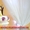 Весільні запрошення та подарунки для гостей з шоколаду - <ro>Изображение</ro><ru>Изображение</ru> #10, <ru>Объявление</ru> #1008123