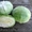 Семена белокочанной капусты NAOMI F1 / НАОМИ F1 фирмы Китано #1274695