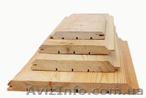 Сибирская лиственница Днепропетровск