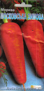 семена моркови Московская зимняя  - <ro>Изображение</ro><ru>Изображение</ru> #1, <ru>Объявление</ru> #951622