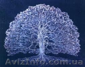 Потрібні на роботу   столяр а   високої кваліфікації