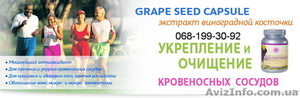 Экстракт виноградной косточки- Grape seed capsule (120 капс.)Тибемед.